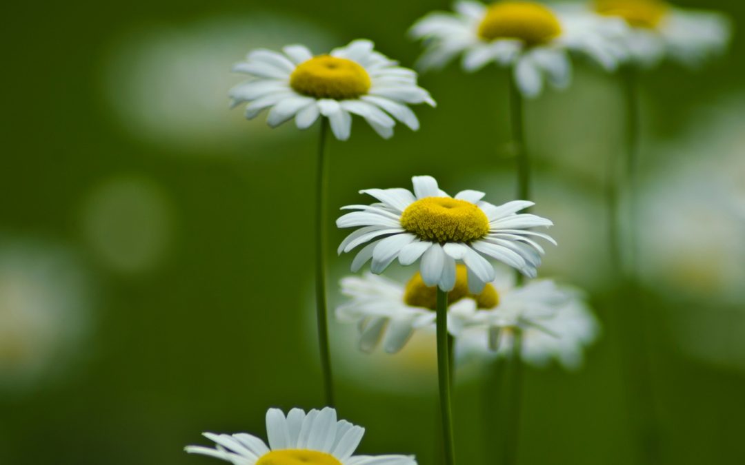 Cada vez que faço algo melhor, estou a melhorar!