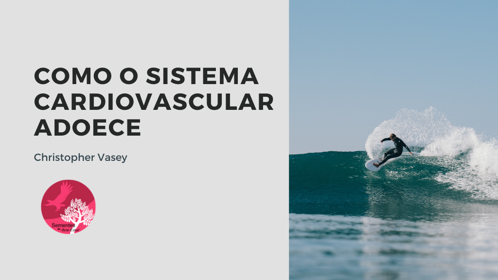 Como o Sistema Cardiovascular Adoece