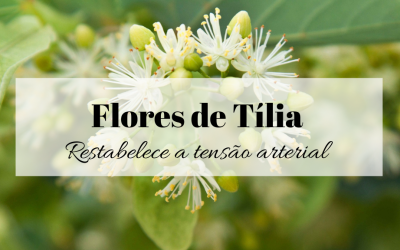 Flores de Tília – Restabelece a tensão arterial