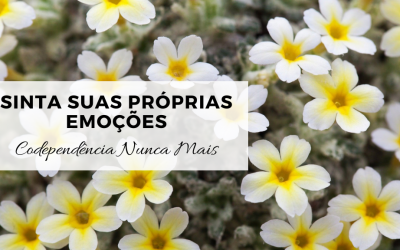 Sinta suas próprias emoções – 1ª Parte