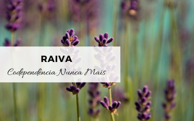 Raiva – 3ªParte