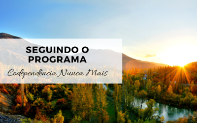 SEGUINDO O PROGRAMA